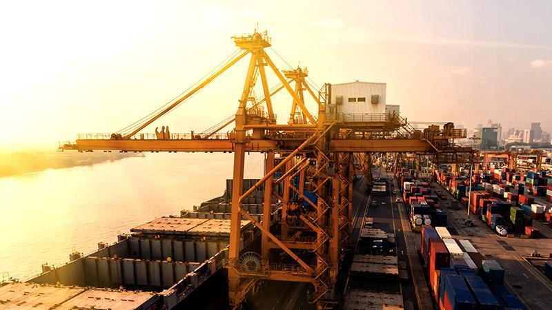 CRANE8.jpg